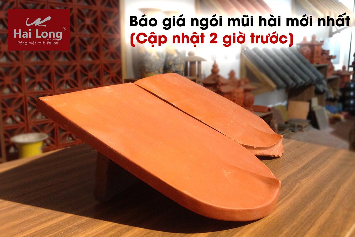 bao gia ngoi mui hai