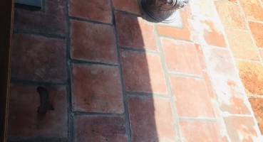 gạch ốp nhà thờ