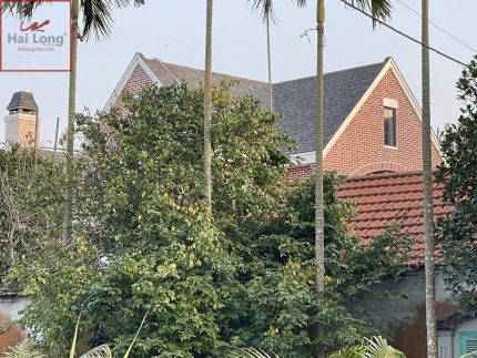 Gạch thẻ ốp tường 70% màu đỏ đậm 30% màu đỏ đào 01