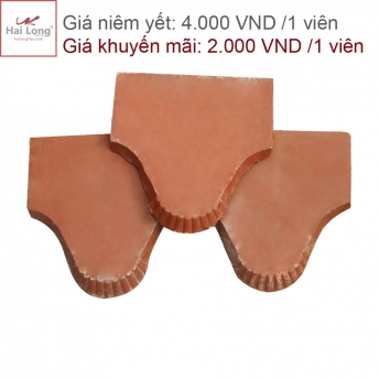 Sản phẩm giảm giá 50% 01