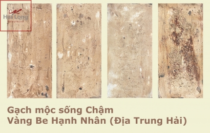 gạch mộc sống chậm vàng be hạnh nhân địa trung hải