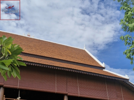 ngói vảy cá men carrot