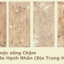 gạch mộc sống chậm vàng be hạnh nhân địa trung hải