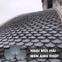 Ngói mũi hài 150 men Ánh Thép lợp biệt thự tân cổ điển - biệt thự Pháp 01